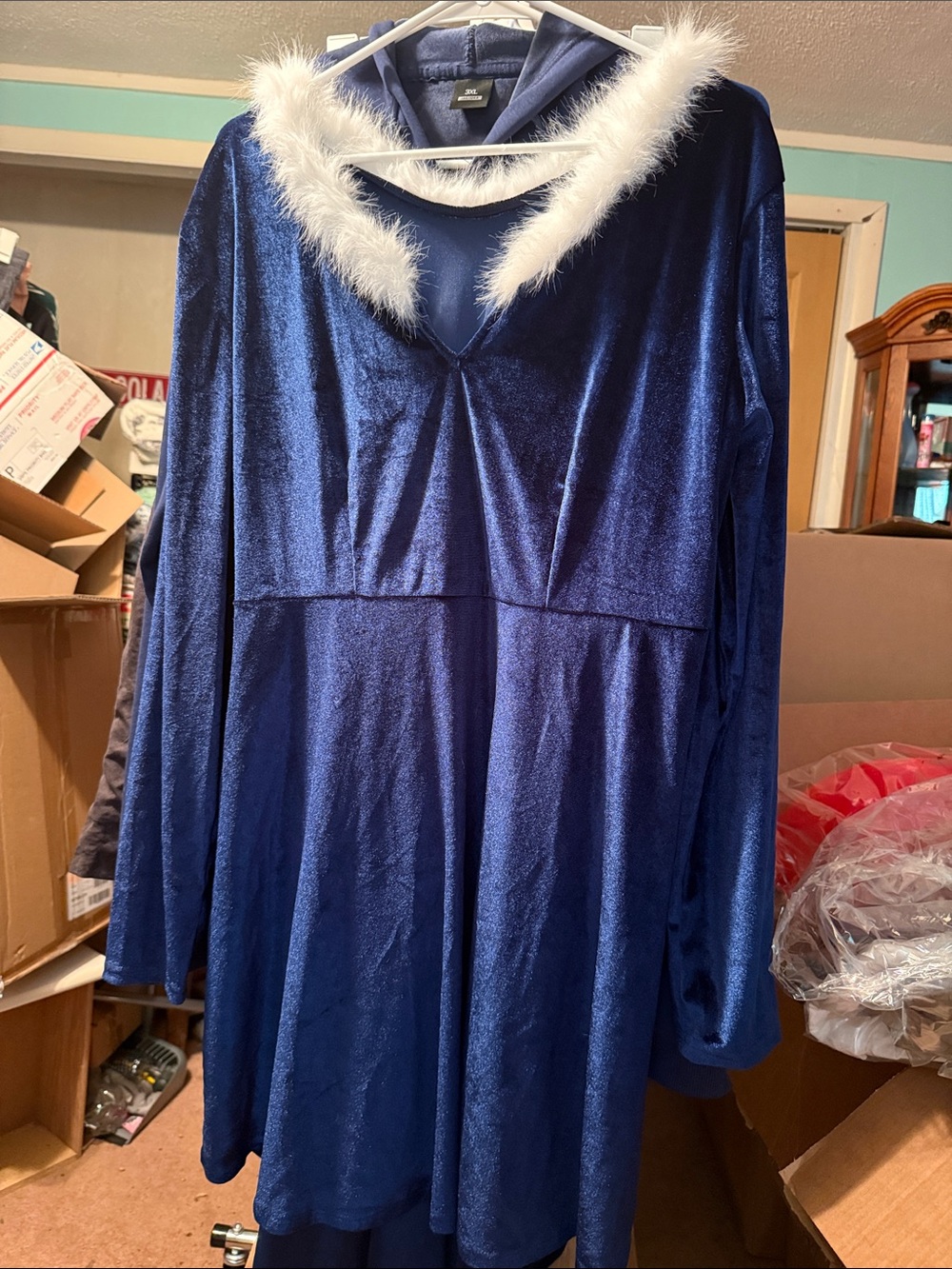 Blue Velvet Dress with White Faux Fur Trim